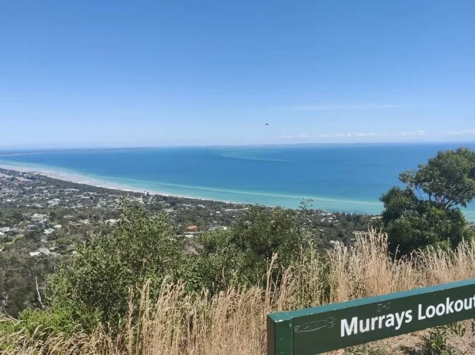 mornington peninsula tours