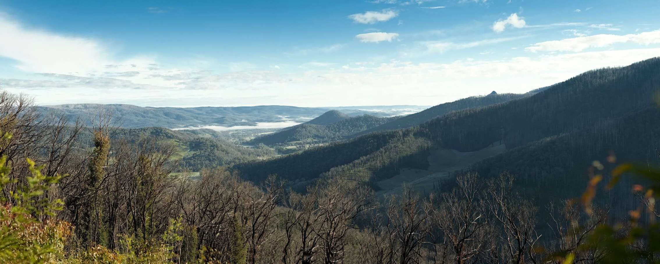 best day trips melbourne