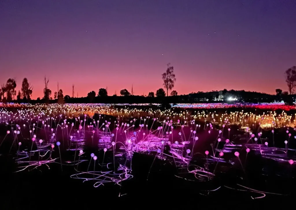 Field of Light