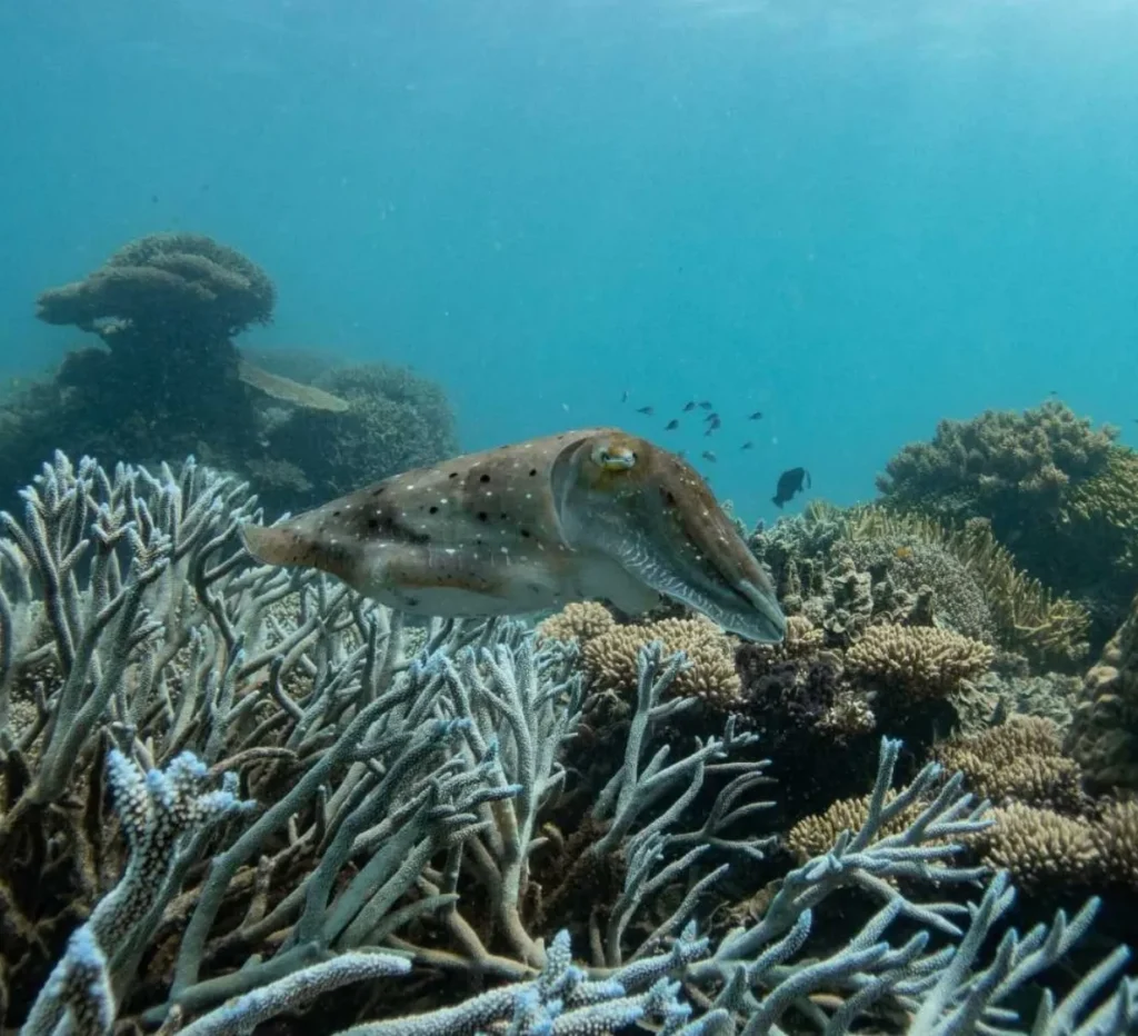 Eight tips for beginners