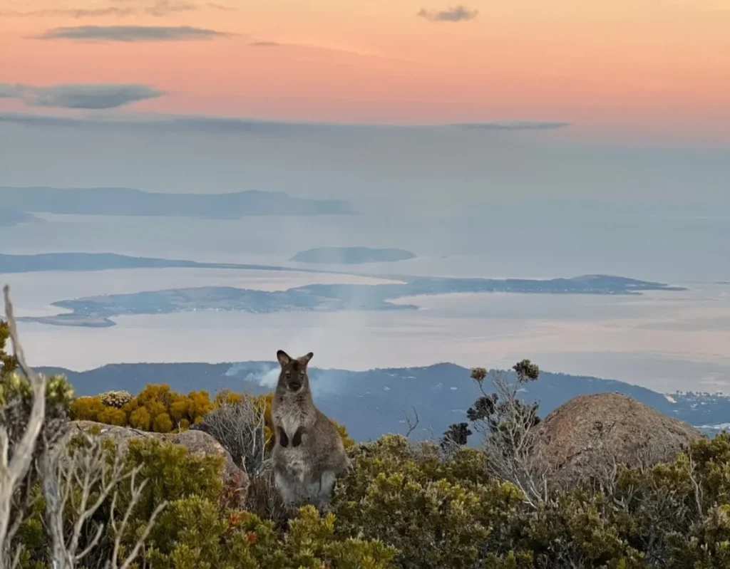 Travelling in Tasmania outdoor attractions