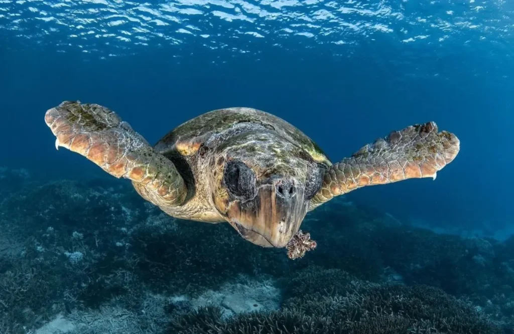 Holidays in Australia