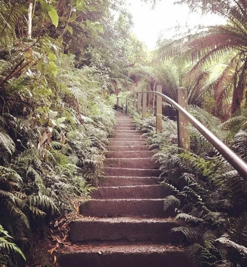 Dandenong Ranges