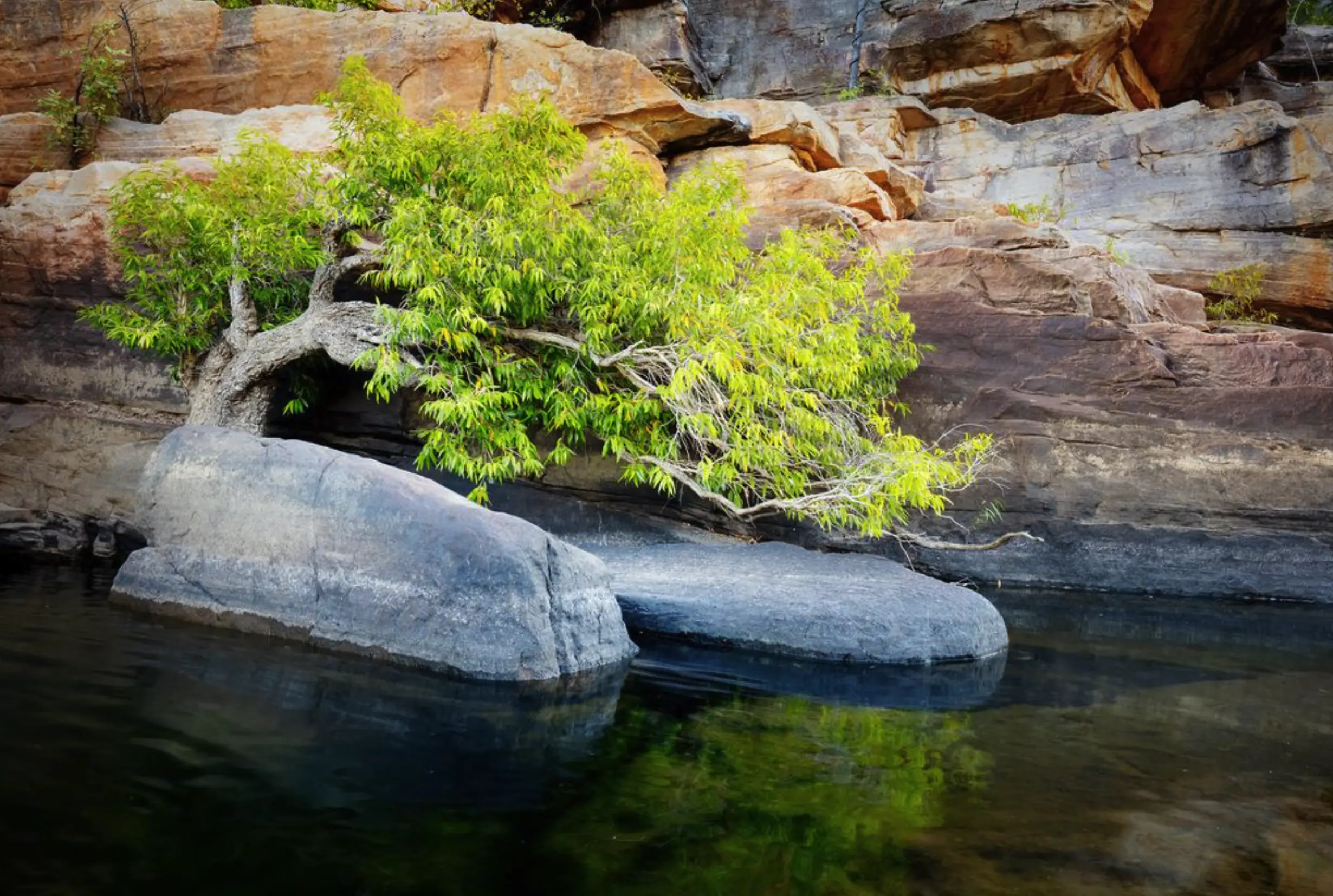 Kakadu tour