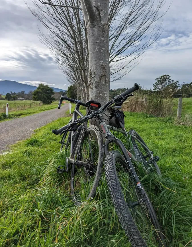 Warburton Rail Trail