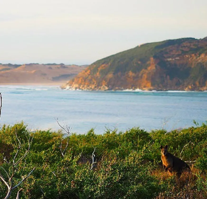 Wilsons Promontory