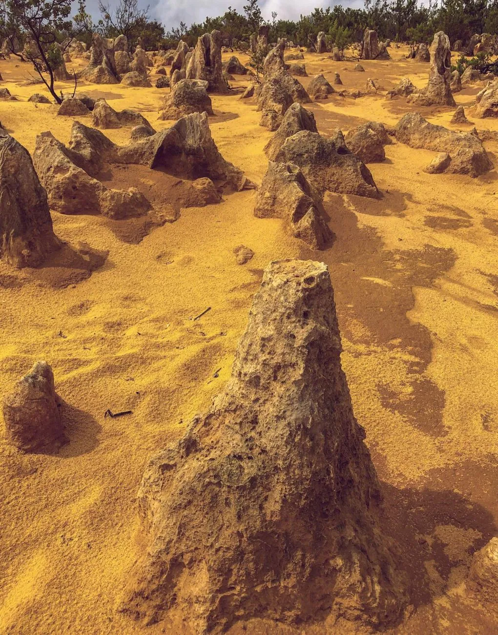 4 Day Monkey Mia Tour from Perth