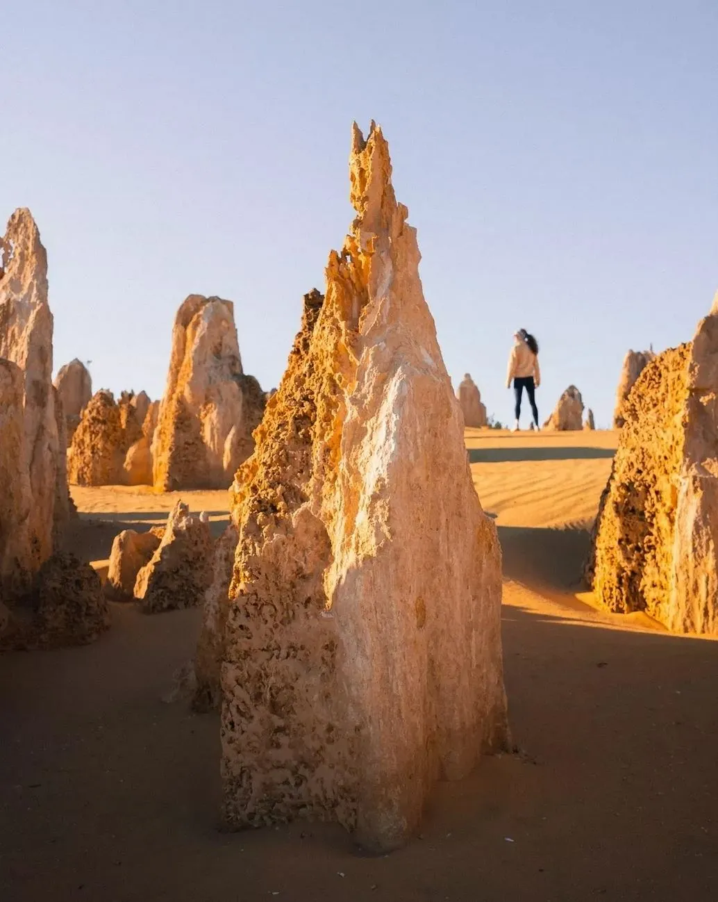 Seasonal Considerations, Heat, Wildflowers, and Storms