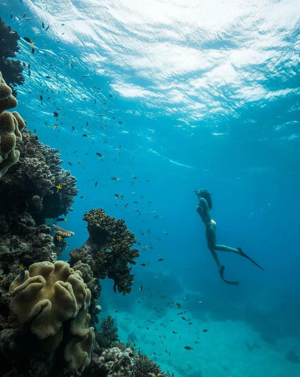 Geology and Geography, The Skeleton Under the Sparkle