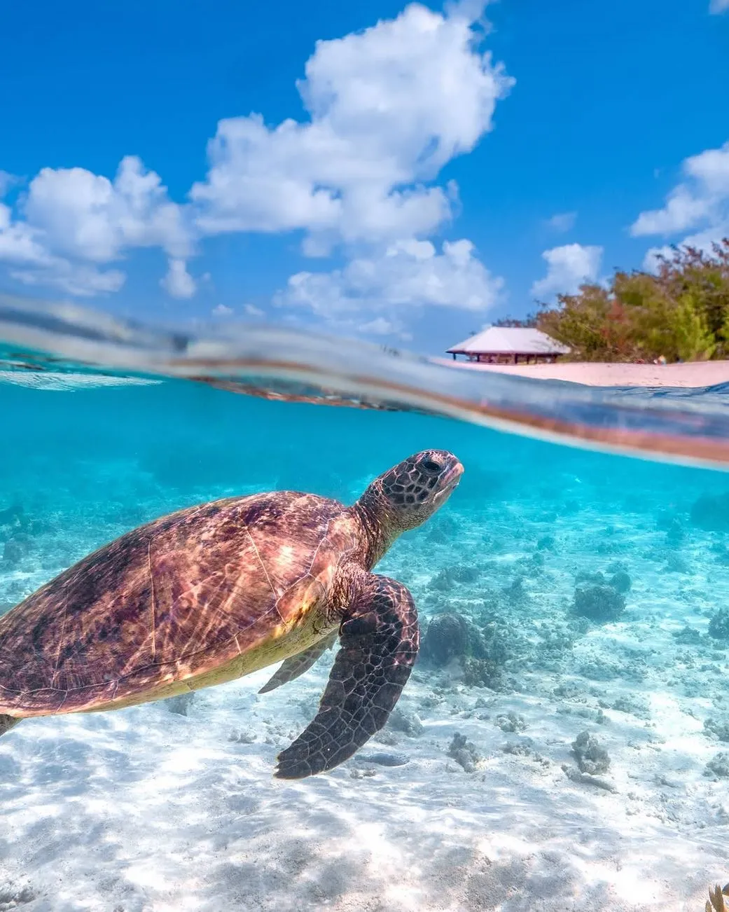 Great Barrier Reef Marine Park