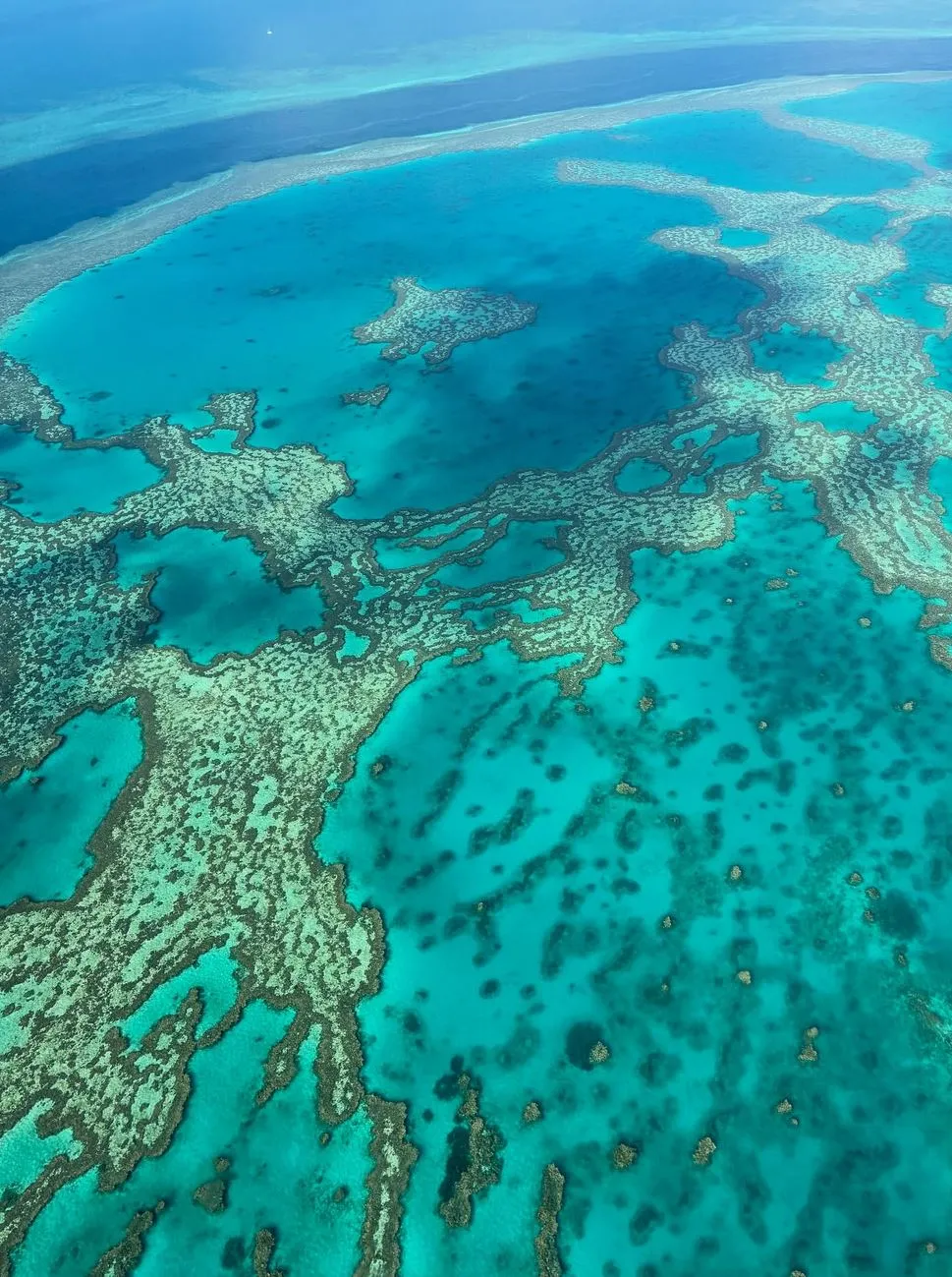 Reef Facts to Pull Out at the Pub