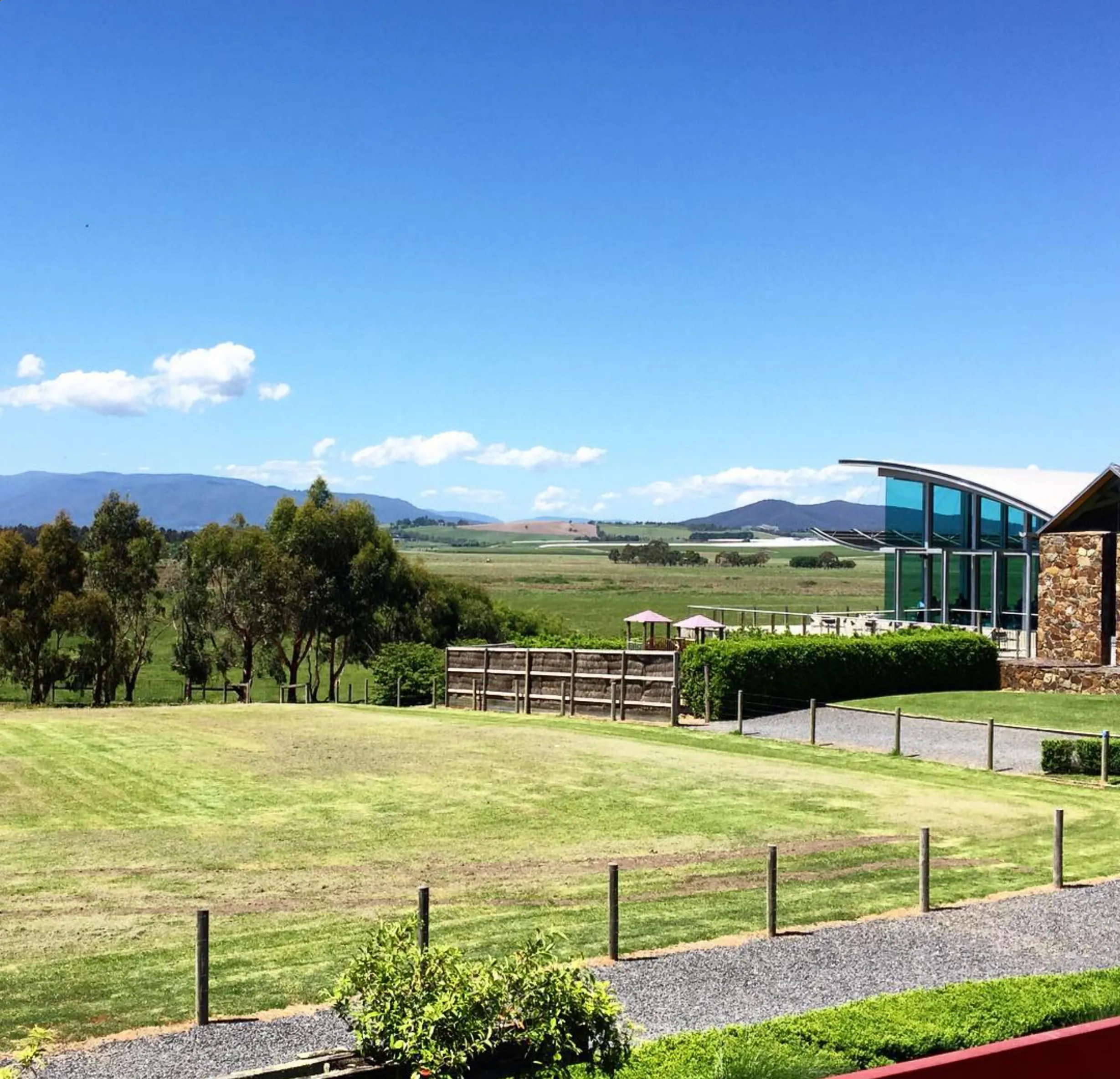 cool climate wines Yarra Valley