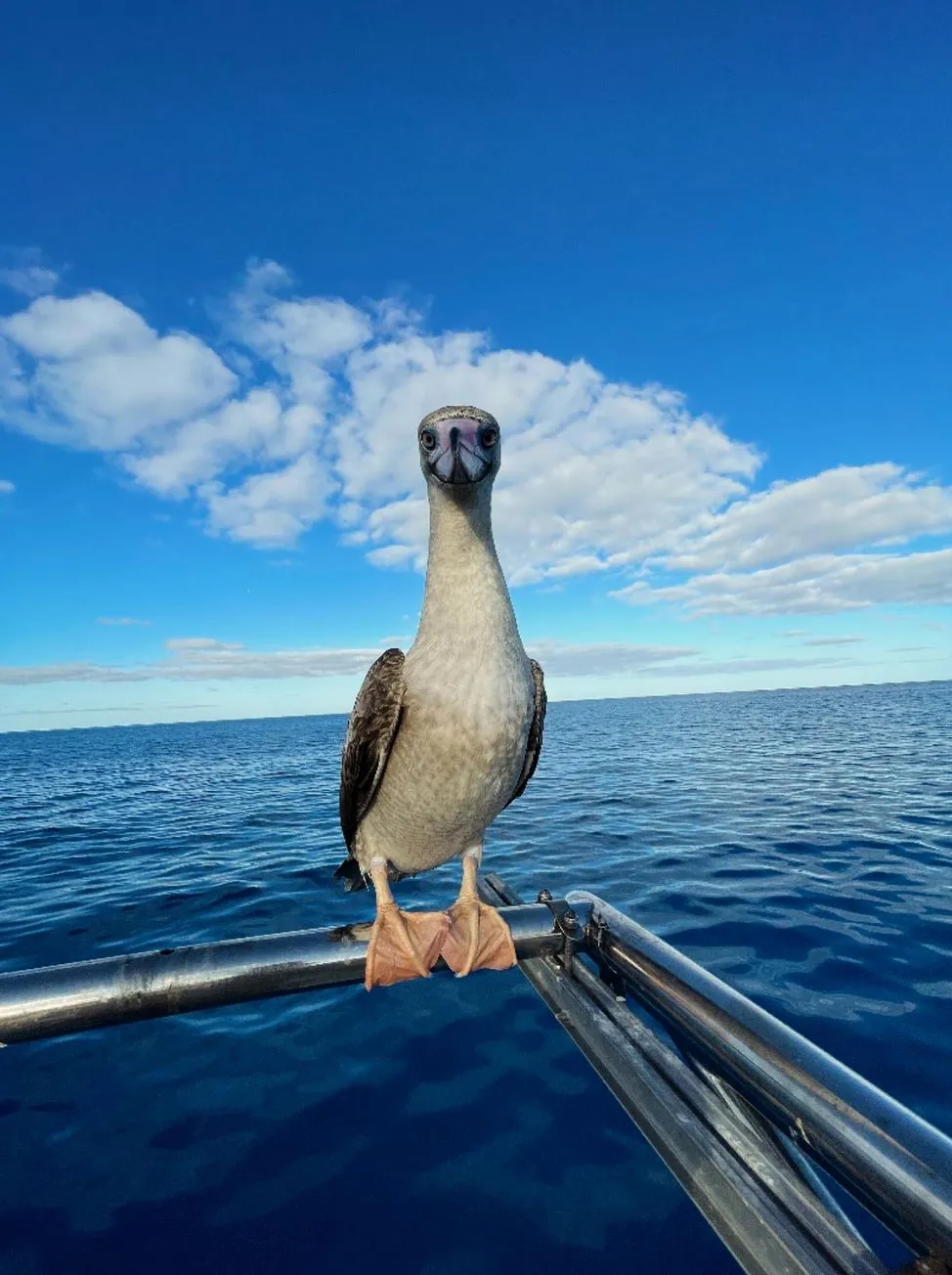 great barrier reef tours