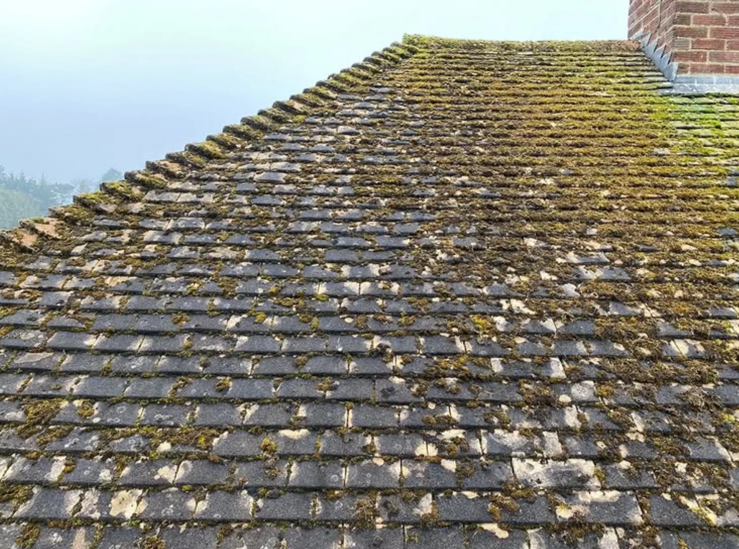 roof cleaning safety melbourne