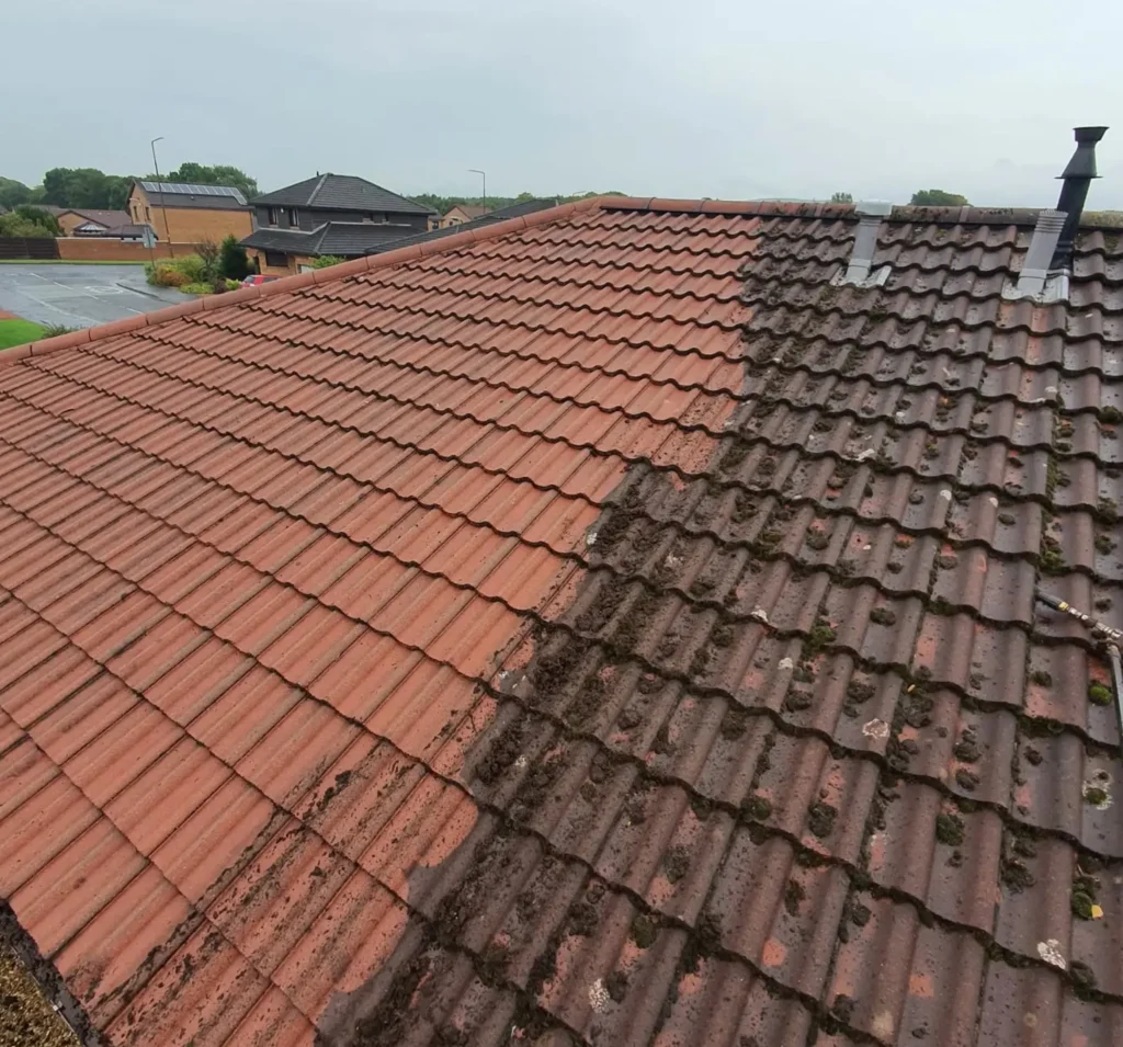 soft wash roof cleaning