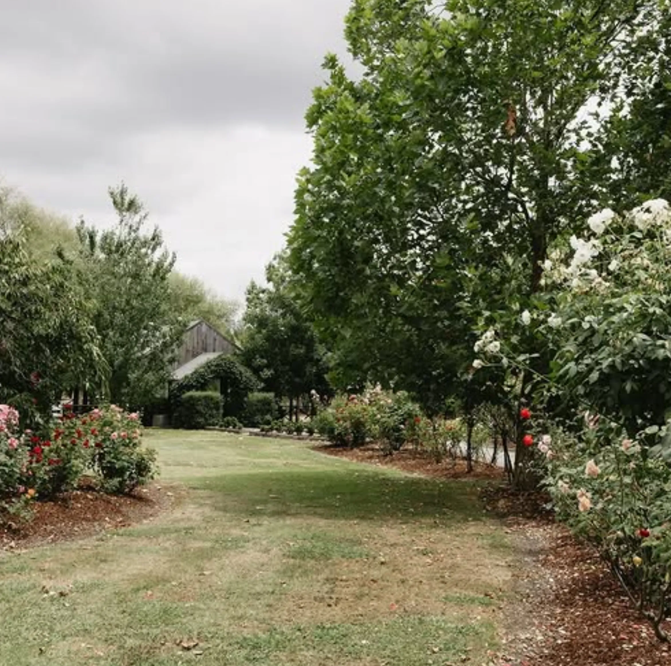 Healesville Sanctuary pram access