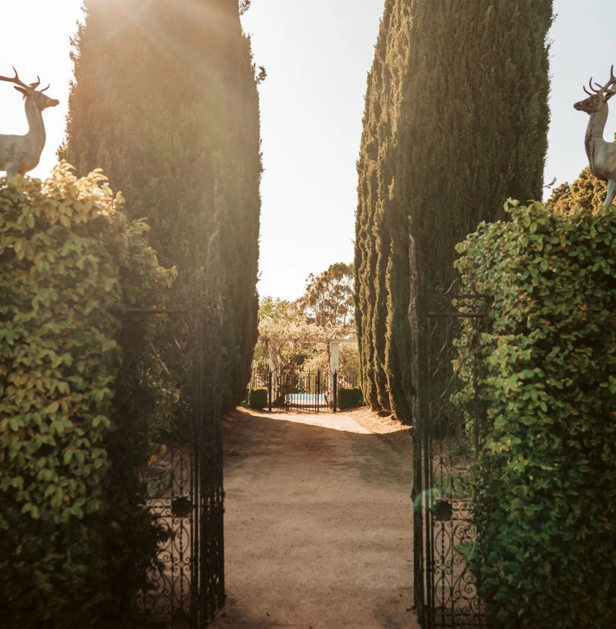 Healesville budget accommodation options