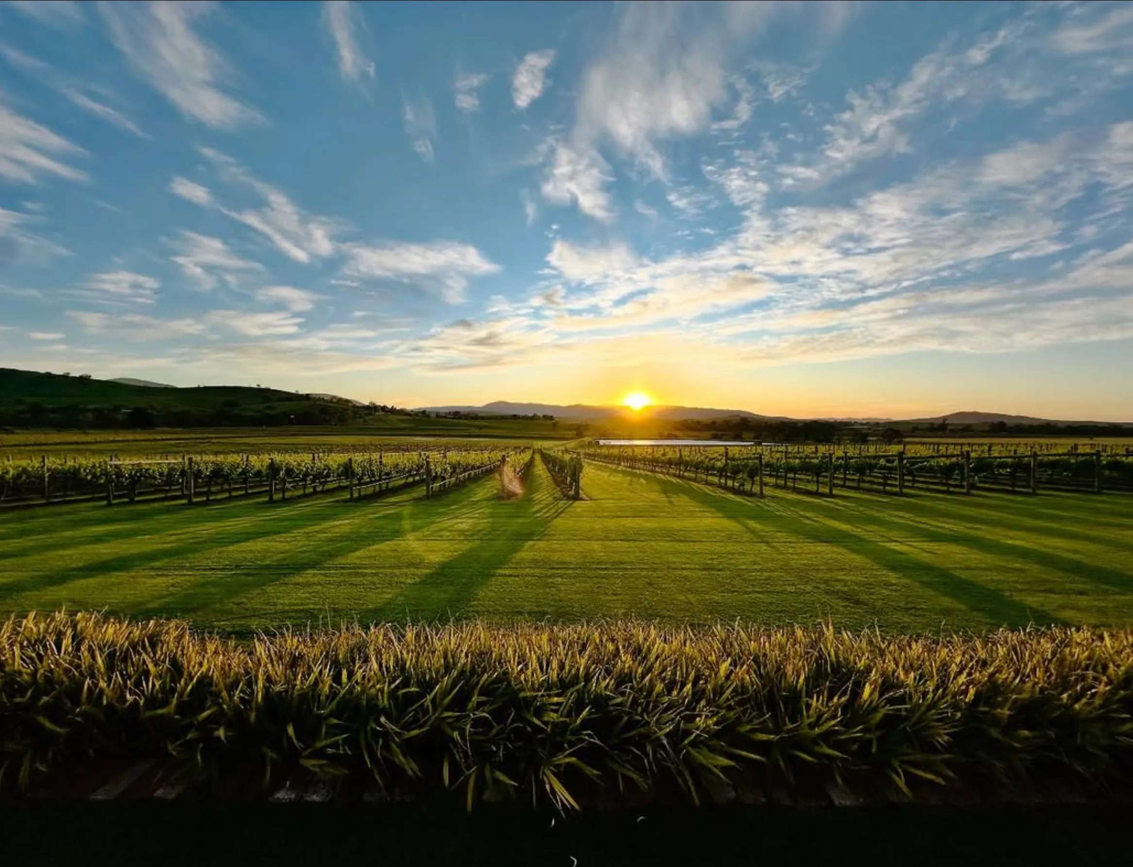 cheap places to stay Yarra Valley wineries