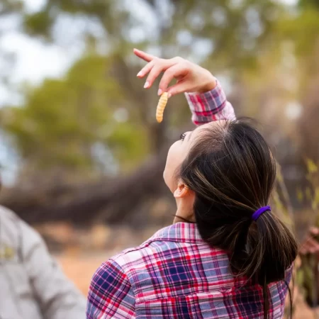 Karrke Aboriginal Cultural Tour Bush tucker (TA)