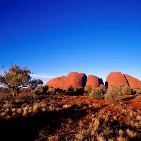 Kata Tjuta, Uluru Kata Tjuta National Park, NT (Credit TA)