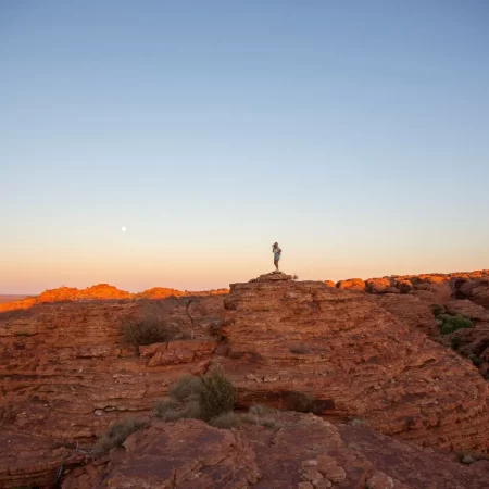 Kings Canyon NT (TA)