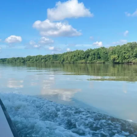 adelai river croc tour