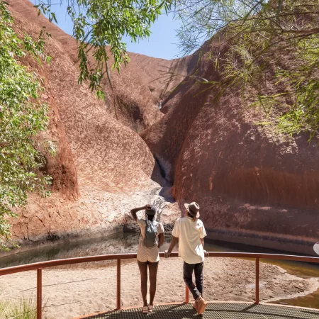 alice springs day tour