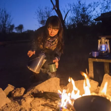 alice springs to uluru day tour