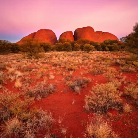 alice springs to uluru tour