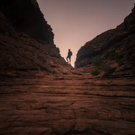 alice springs tours to ayers rock