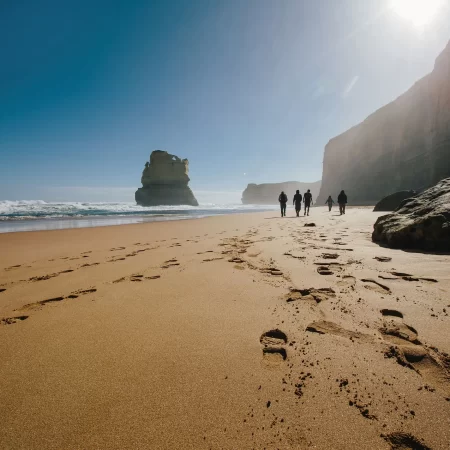 best great ocean road tours