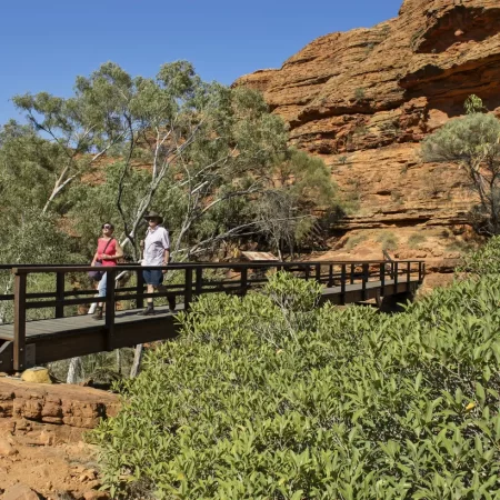 best tours ayers rock