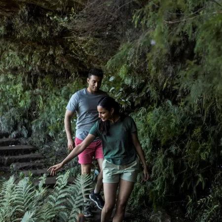 blue mountain day trip