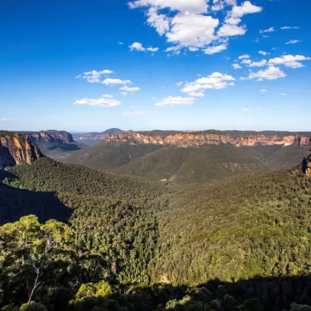 blue mountain package tour