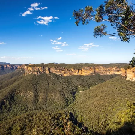 blue mountains tour