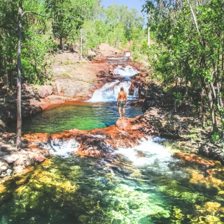 buley rockhole litchfield national park