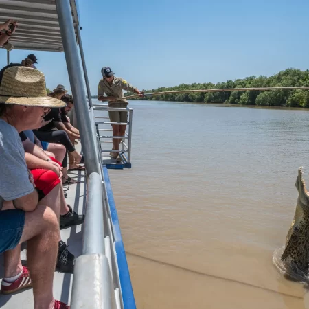 darwin croc tours