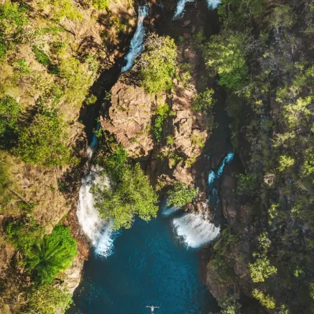 darwin litchfield tours