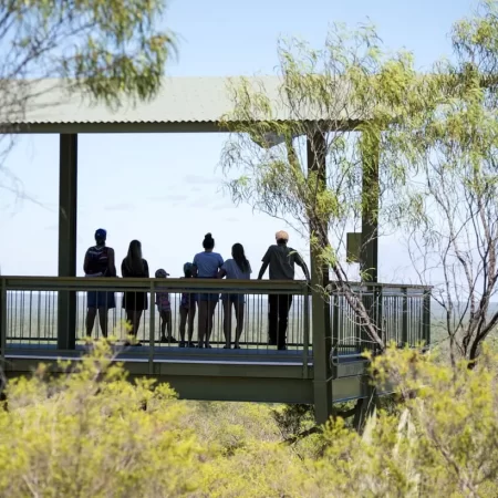 darwin to litchfield day trip