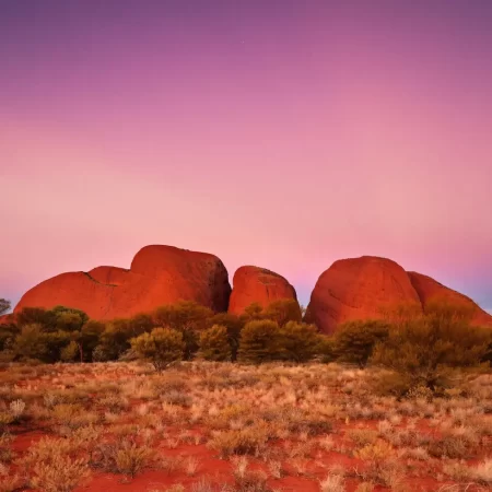 day tours alice springs