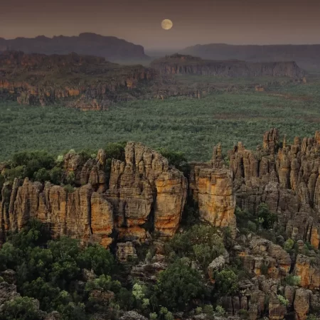 day tours from darwin to kakadu