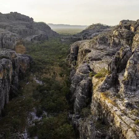 day tours to kakadu from darwin