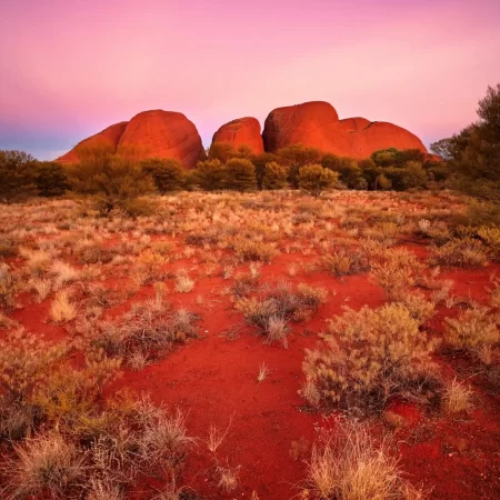 day trip alice springs to uluru