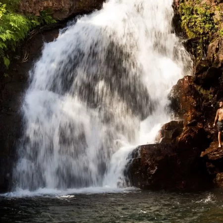day trip to litchfield national park