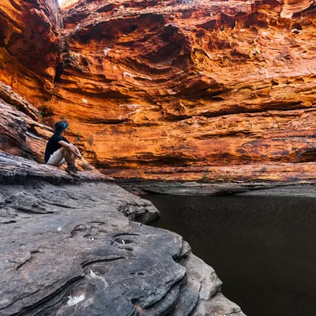day trips alice springs