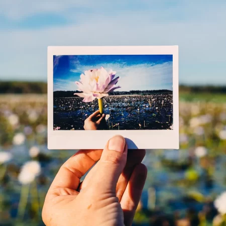 day trips to kakadu from darwin