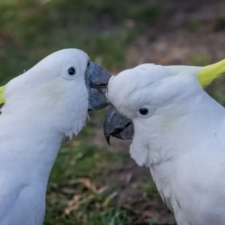 grampians tour melbourne