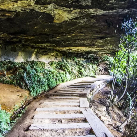 hidden bush trails to wentworth