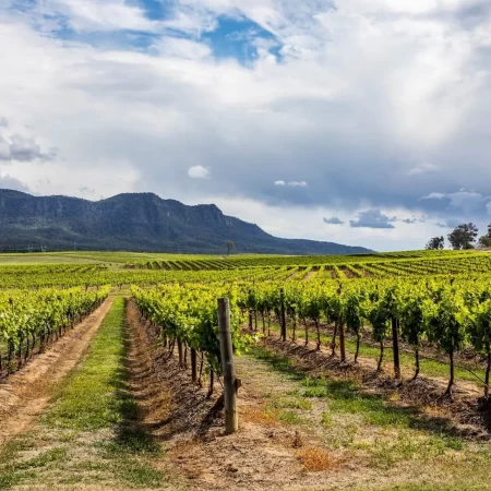 hunter valley tours