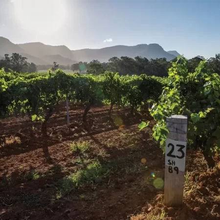 hunter valley wine tasting tour